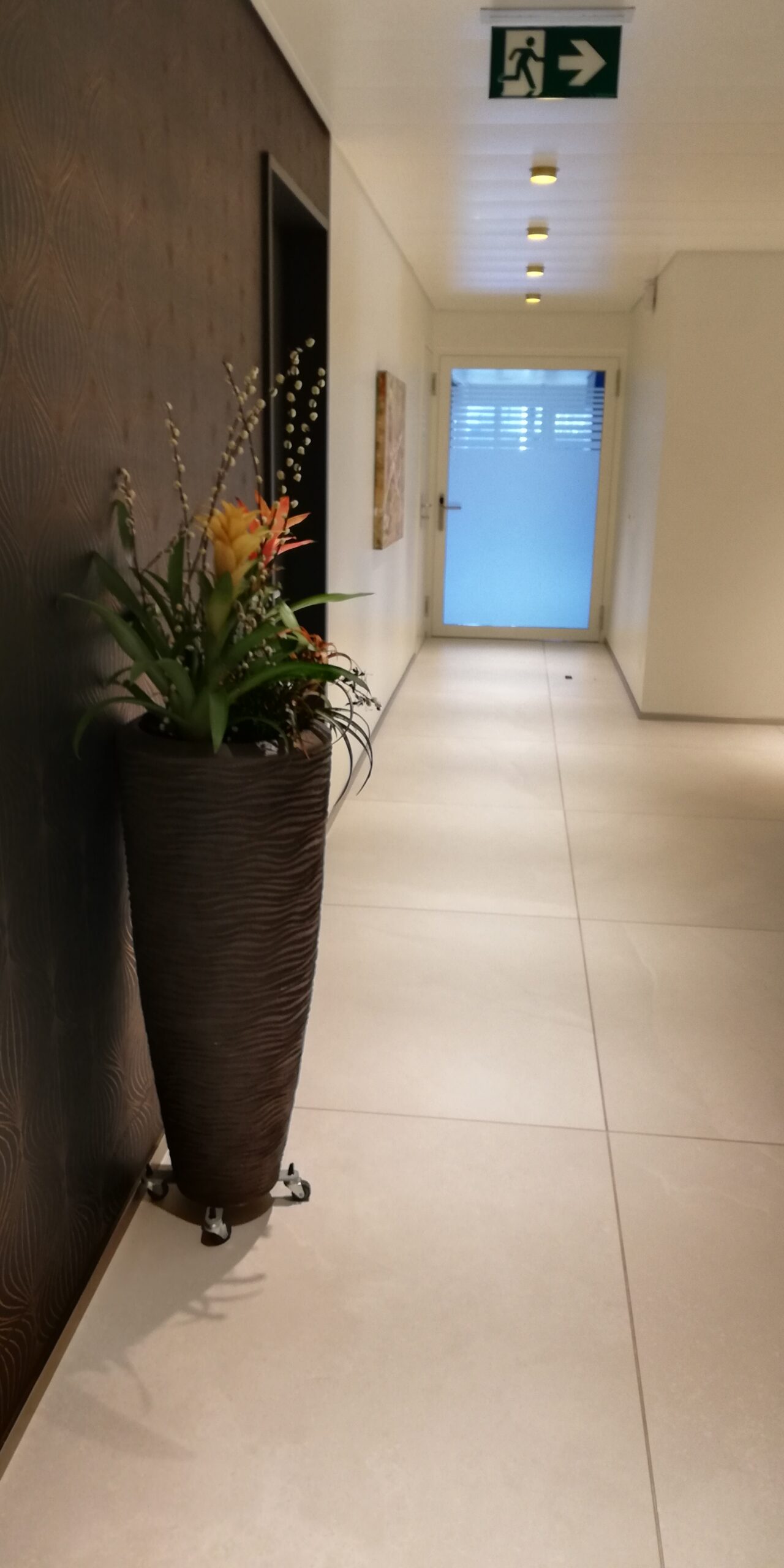 Haartransplantation Zürich Haarclinic Zürich Haarprofis Zürich